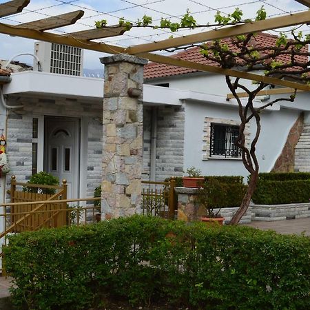 Vila Ss Kekezi Villa Gjirokaster Exterior photo